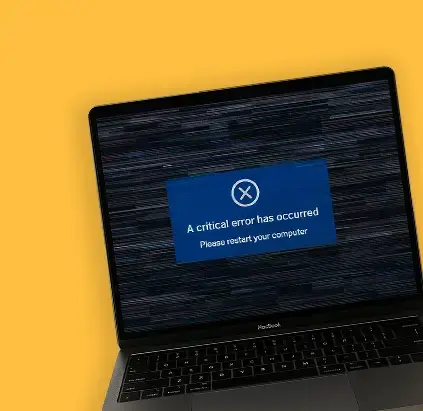 Software error and 11zon
